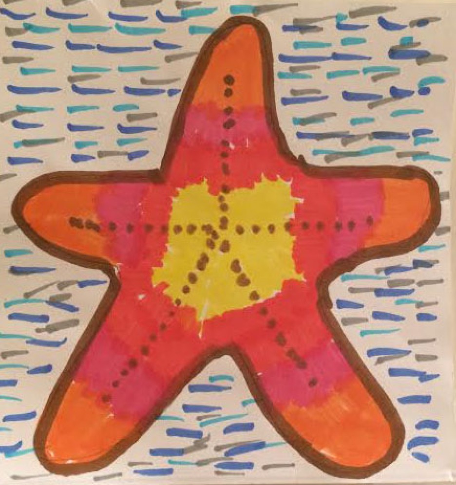 starfish_Bov school